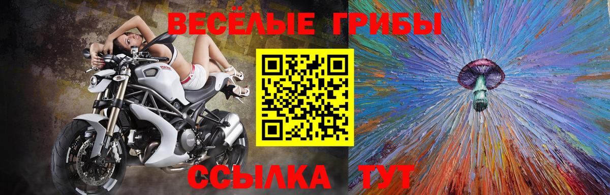 Псилоцибиновые грибы мухоморы Ливны